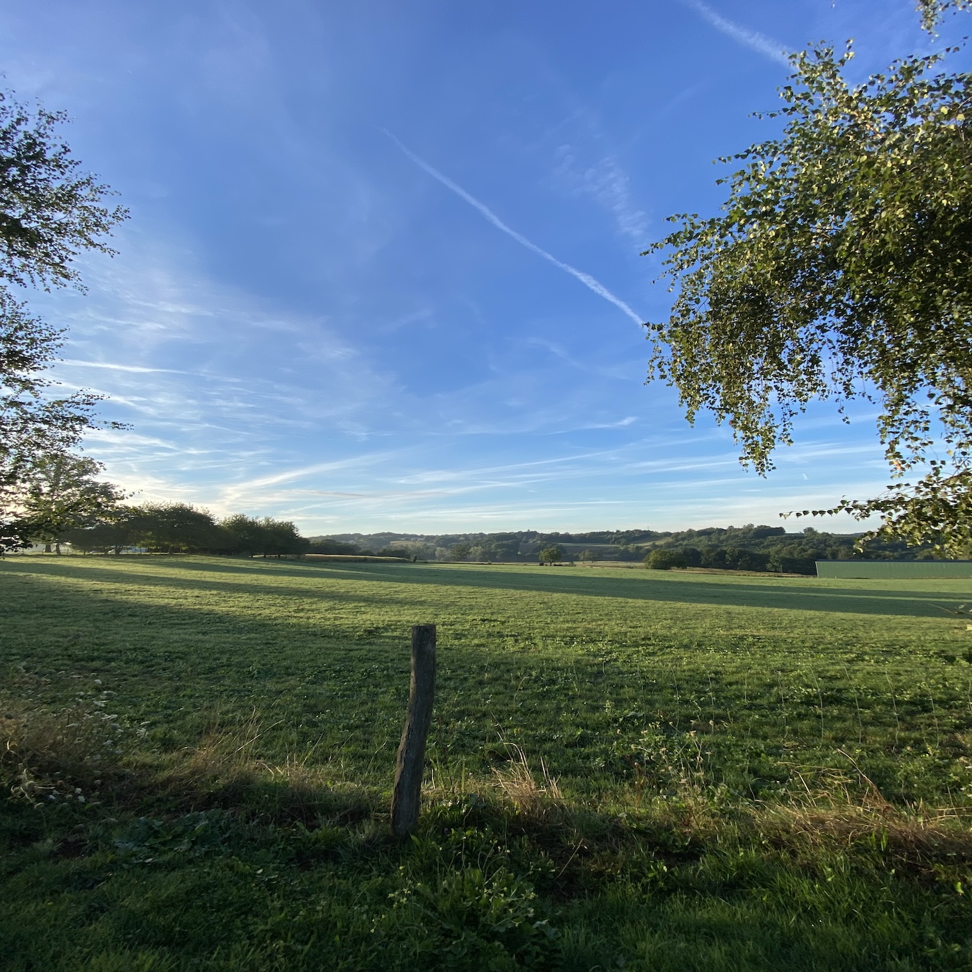 Bois Coutal landscape